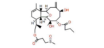 Hirsutalin U